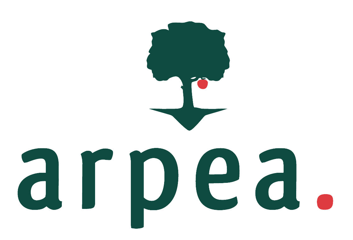 Logo ARPEA - footer